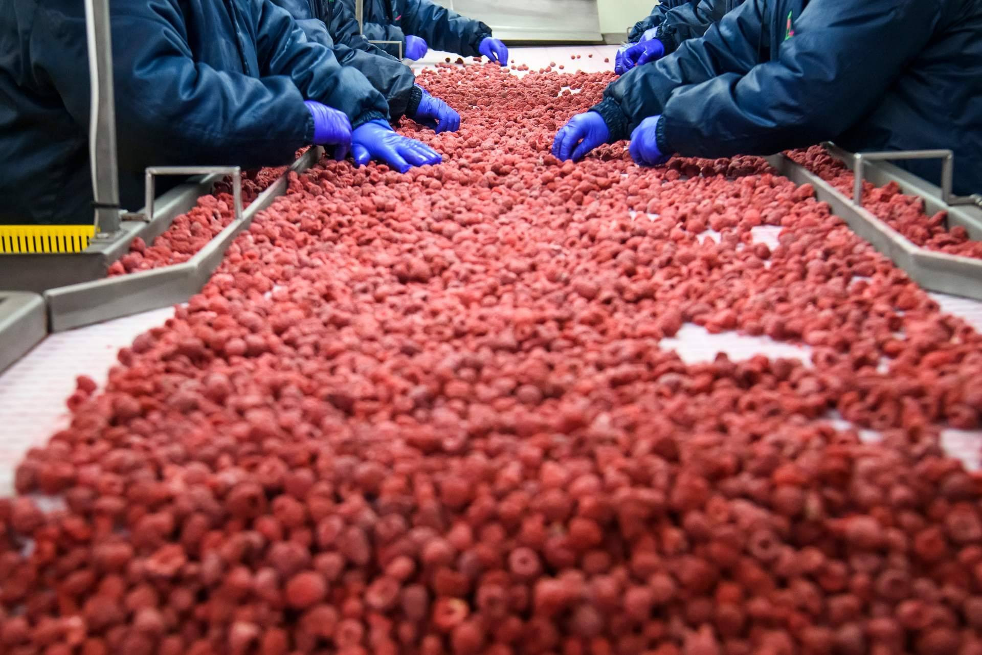 La importancia de la limpieza y desinfección de las instalaciones en las empresas alimentarias