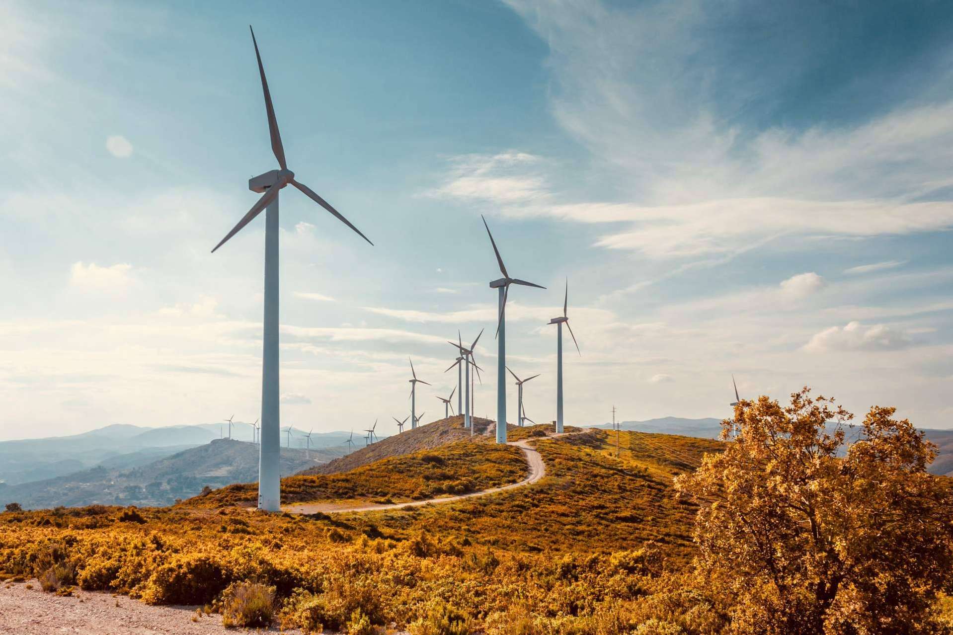 El Grupo Fersa apuesta por las energías renovables, cubriendo el 15 % de la potencia instalada en China, el mayor mercado del mundo en el sector eólico