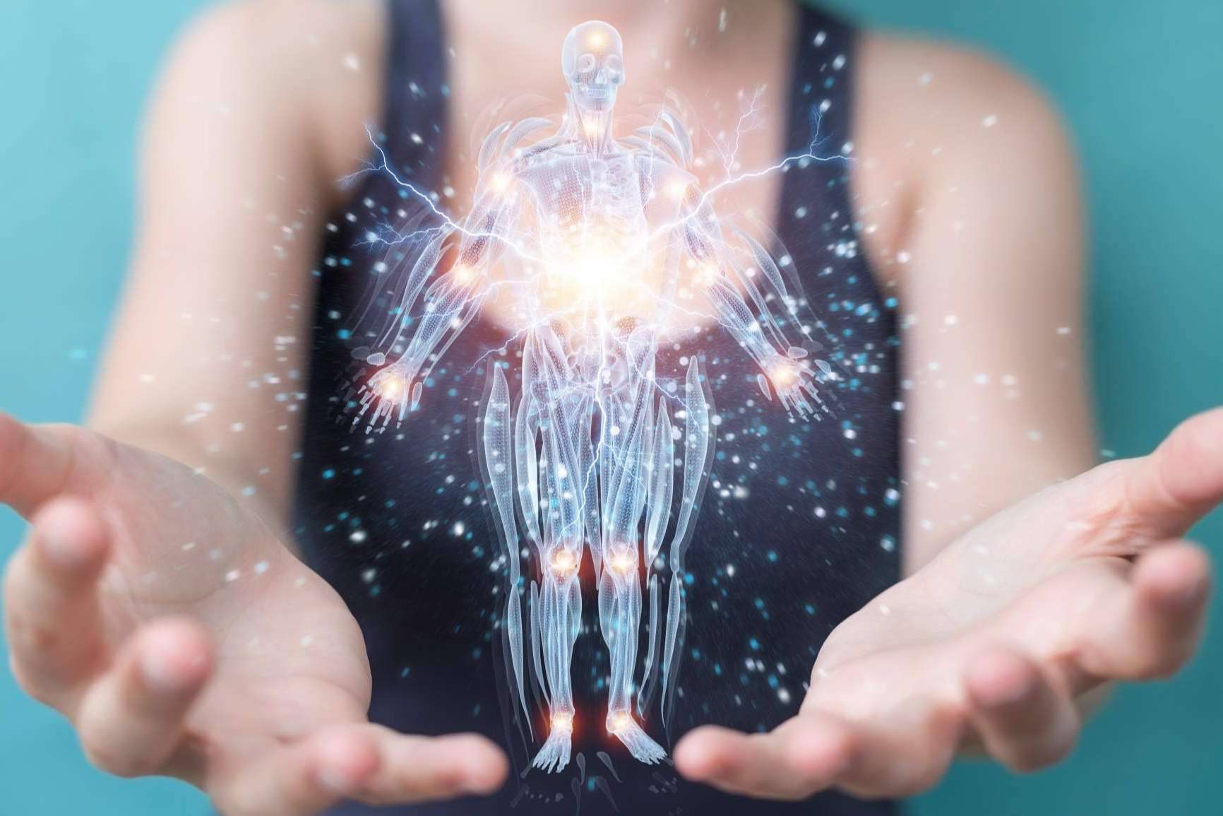 Atlasdeanatomía.com ayuda a conocer todas las partes del cuerpo humano de la mano