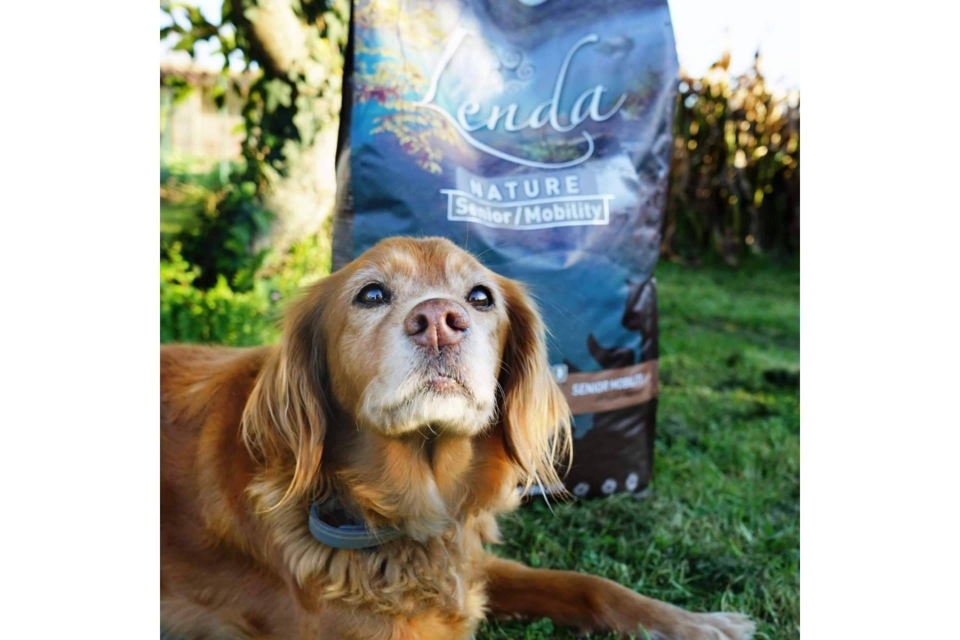 La alimentación para perros sénior de la marca Lenda