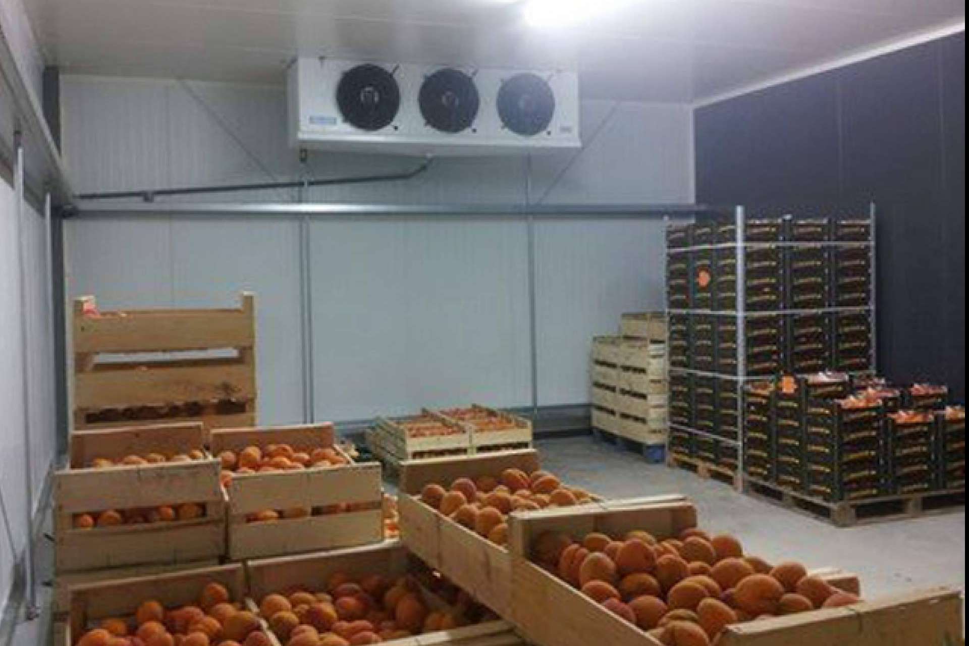 Cámara Frigorífica, el cuarto frío de Panel Sandwich Group