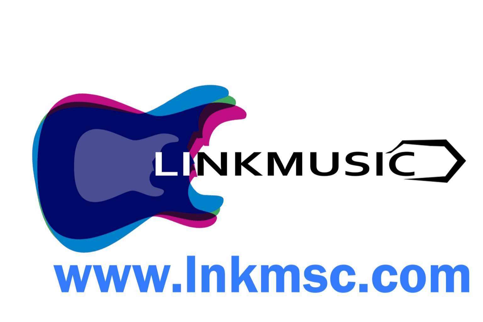Linkmusic es la plataforma especializada en música