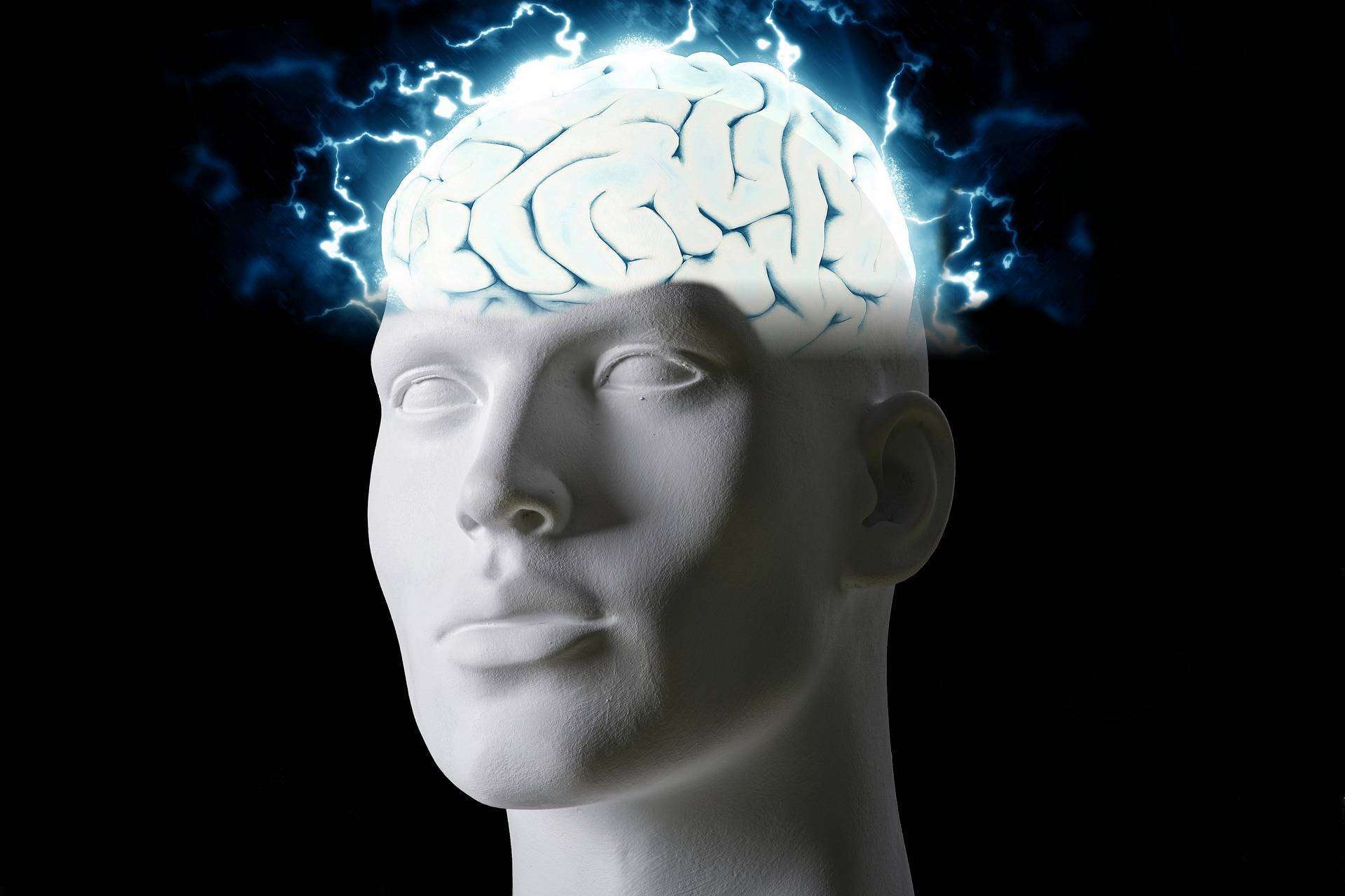 Mind Galaxy, la nueva plataforma de cursos sobre la mente