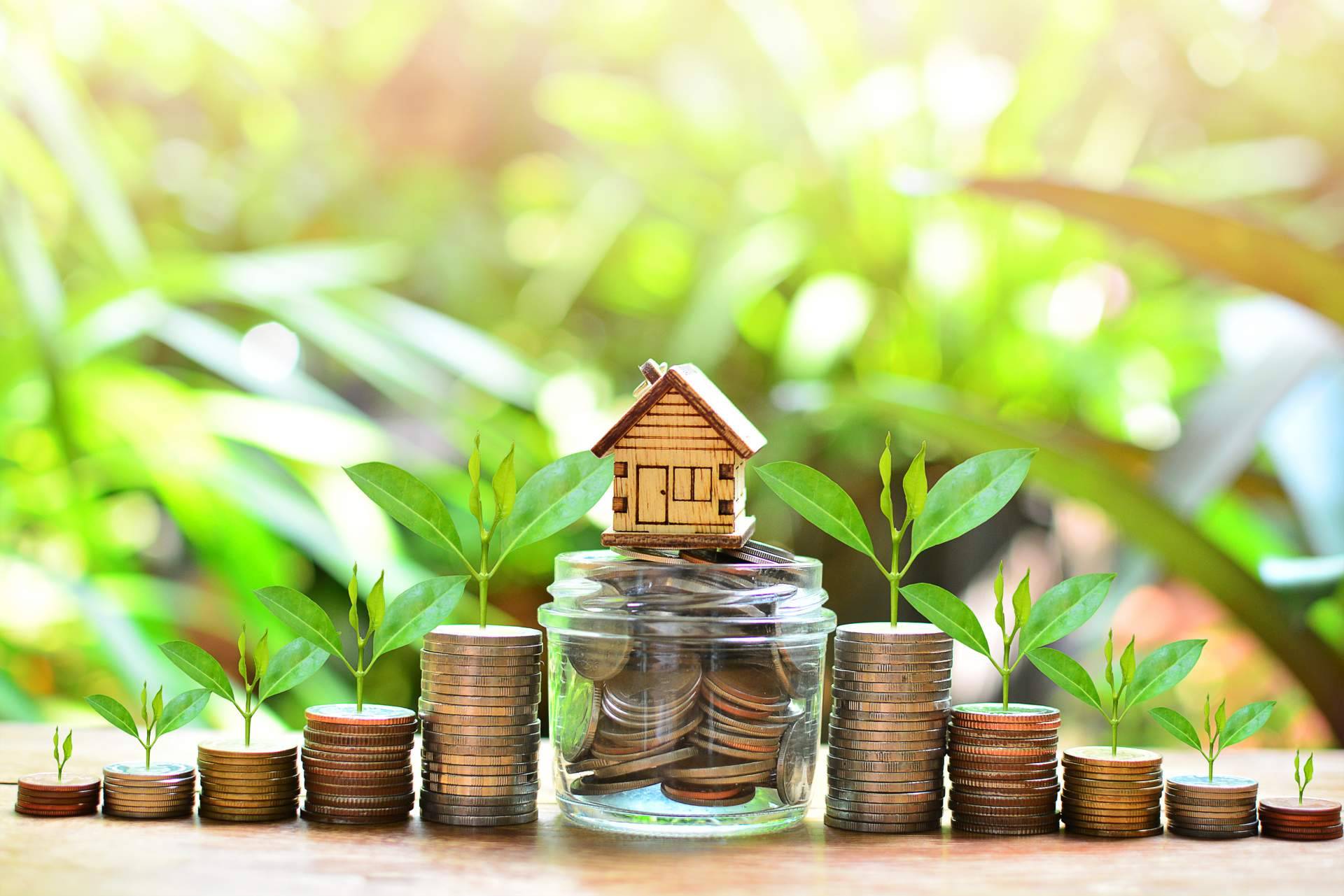 Francisco José Suárez Díaz sobre la inversión inmobiliaria con criptomonedas