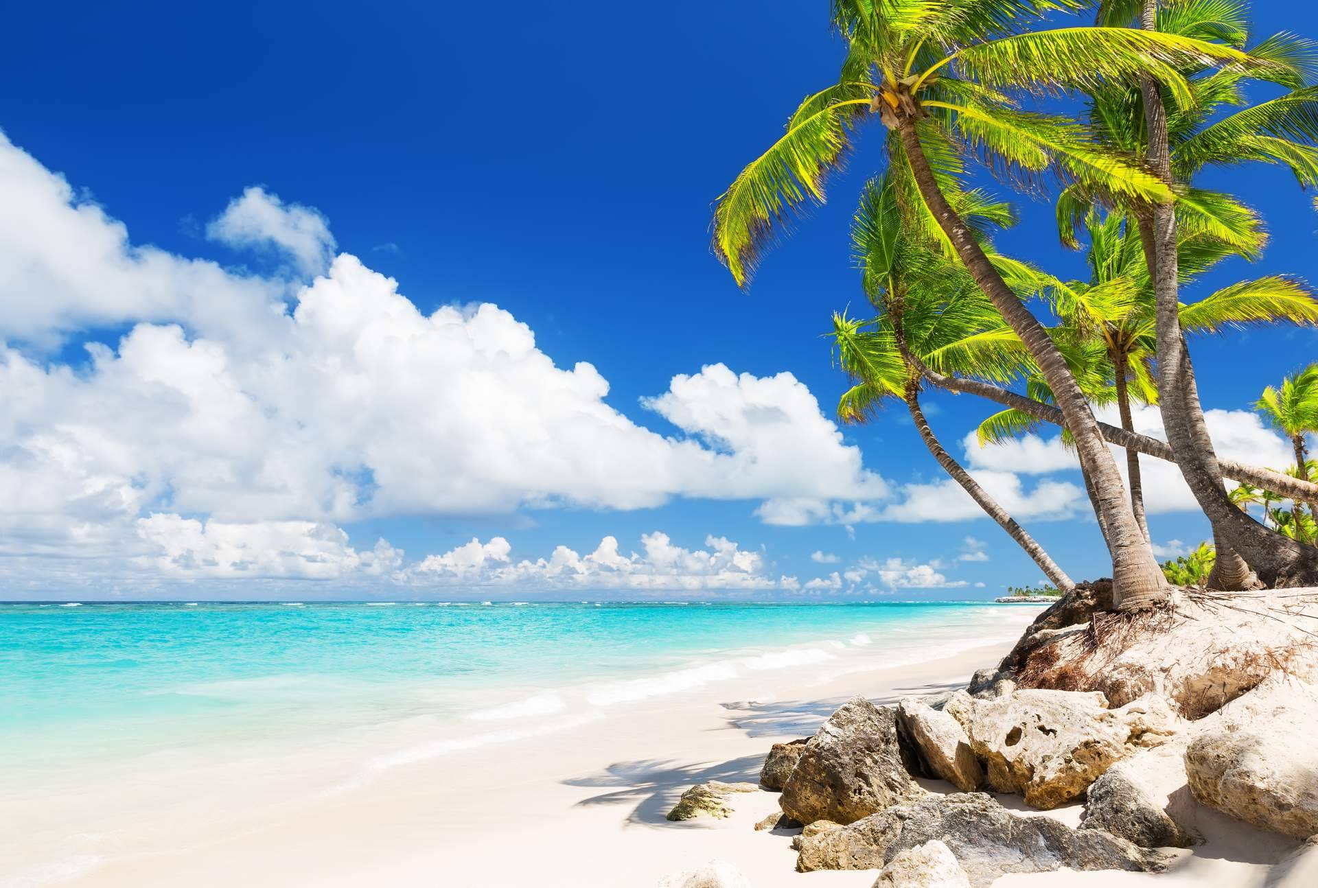 Informarse sobre las oportunidades de inversión en Punta Cana