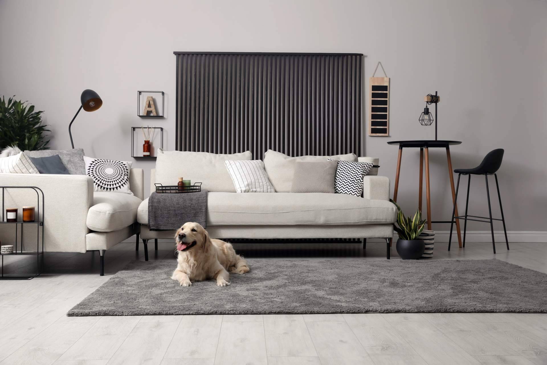 Todas las ventajas de decorar una casa con alfombras