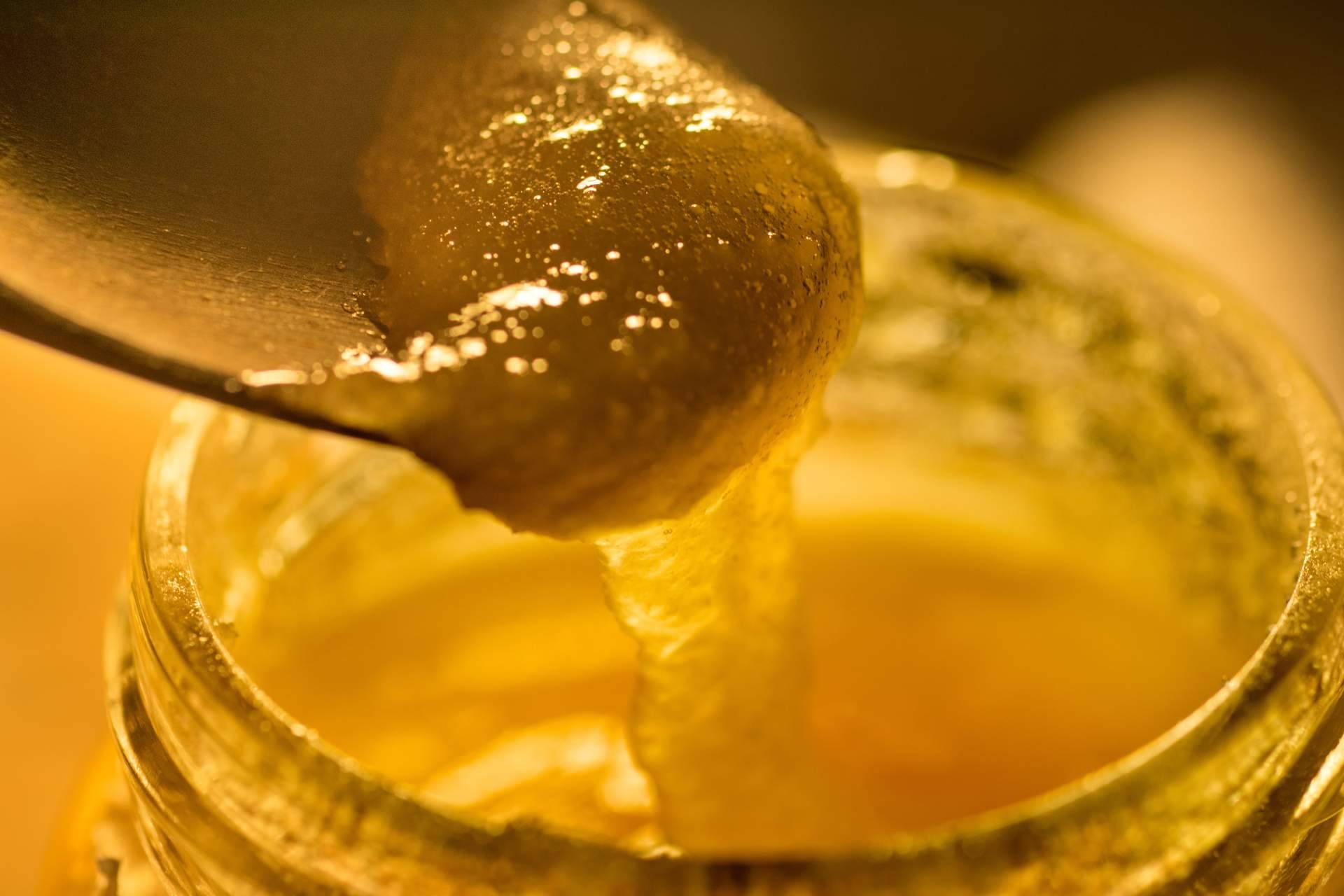 Beneficios de consumir la jalea real y propolis