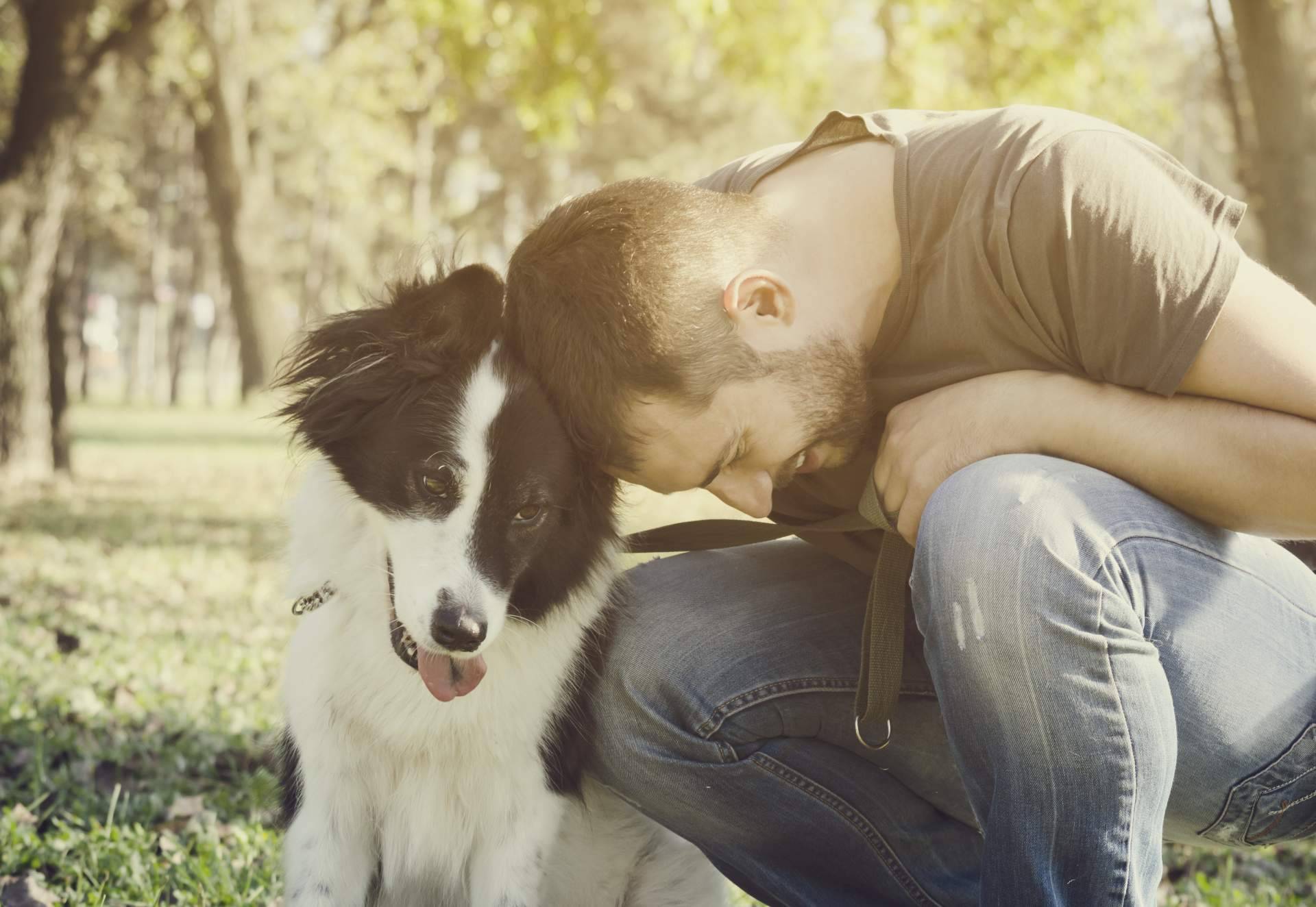 Armonizar la relación con el perro de la familia
