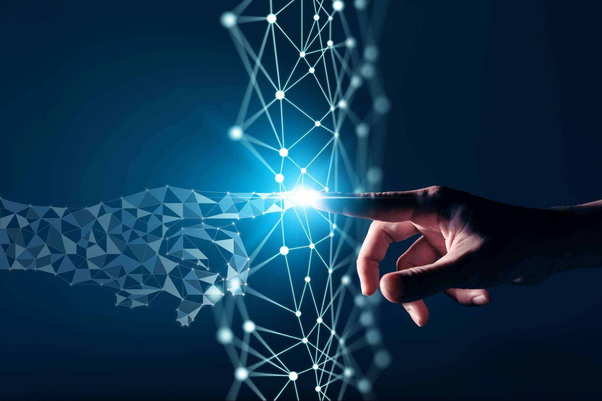 Nifty Export, una compañía especializada en la transformación digital