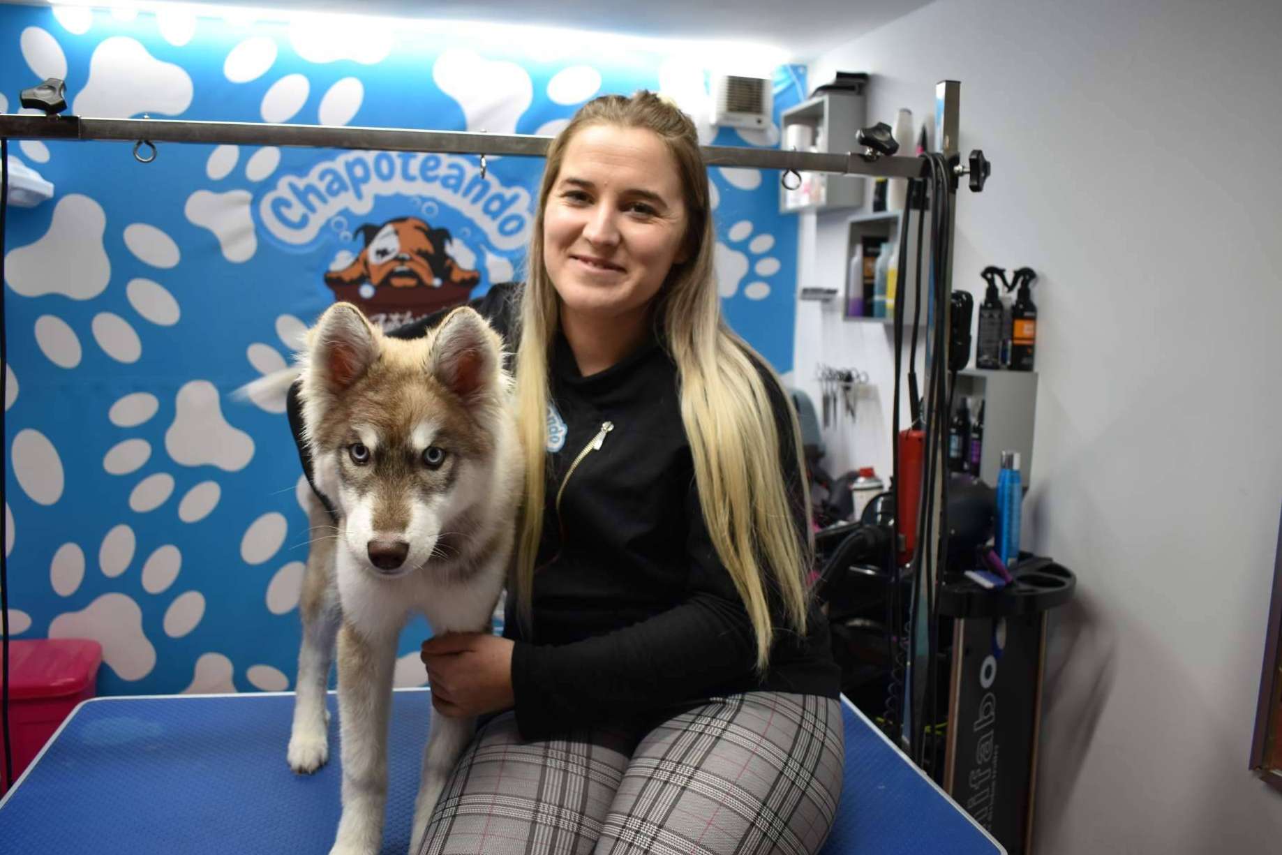 Chapoteando, el servicio de autolavado y bienestar para mascotas