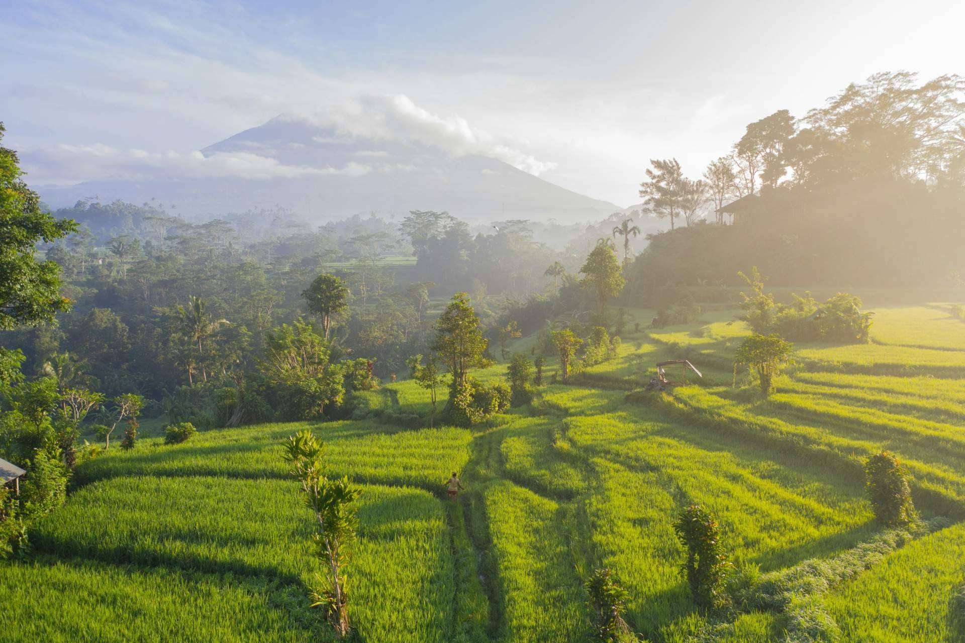¿Por qué viajar a Asia con Viaxes Low Cost?