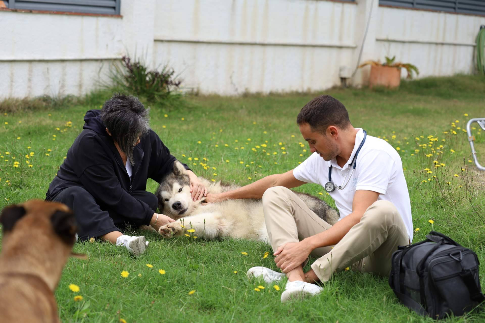 El último adiós en casa, una nueva forma de entender el duelo animal