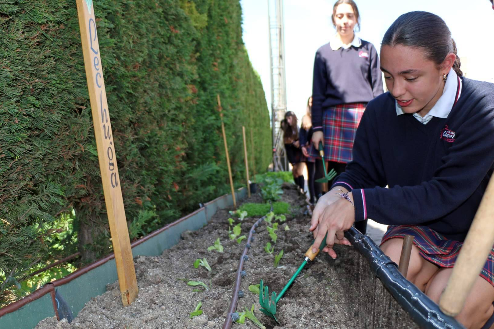 Casvi Boadilla refuerza su apuesta por la sostenibilidad con Ecoescuelas y proyectos ambientales liderados