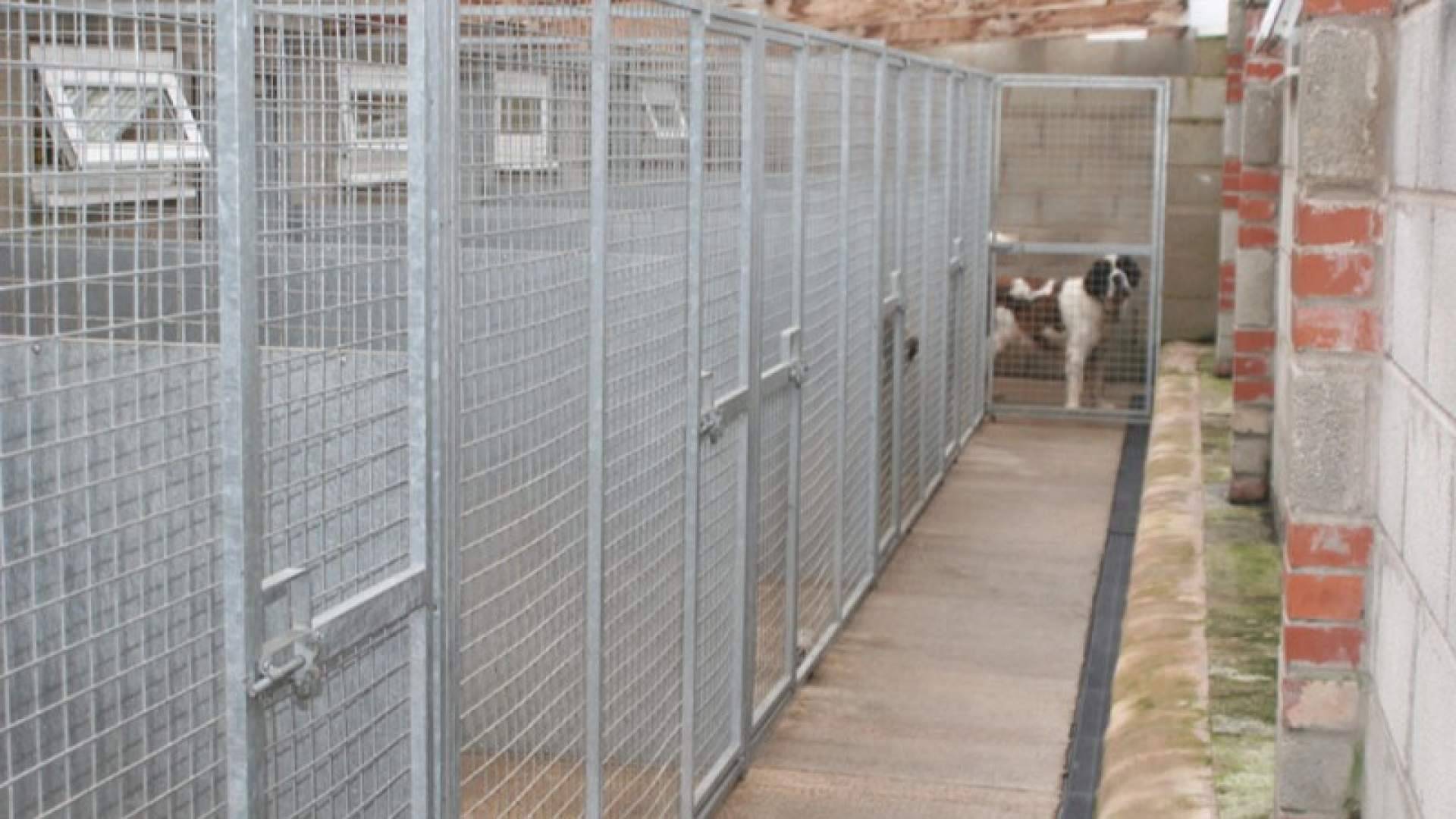 La alta concentración de la nueva citronela de Control De Derrames abarata el control estacional de moscas y mosquitos