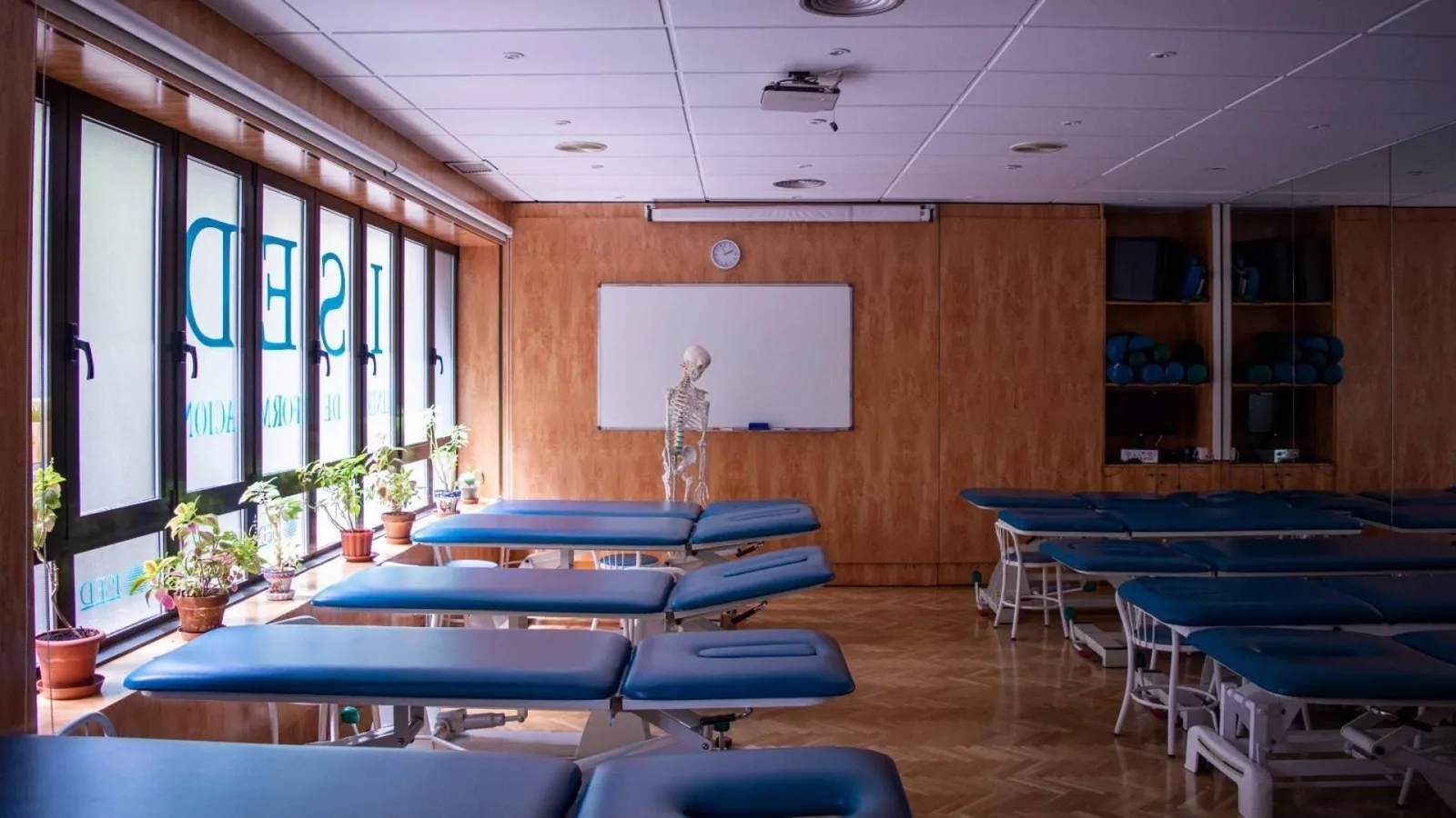 ISED Expert abre la convocatoria de octubre de 2026 para su Máster en Nutrición, Deporte y Salud