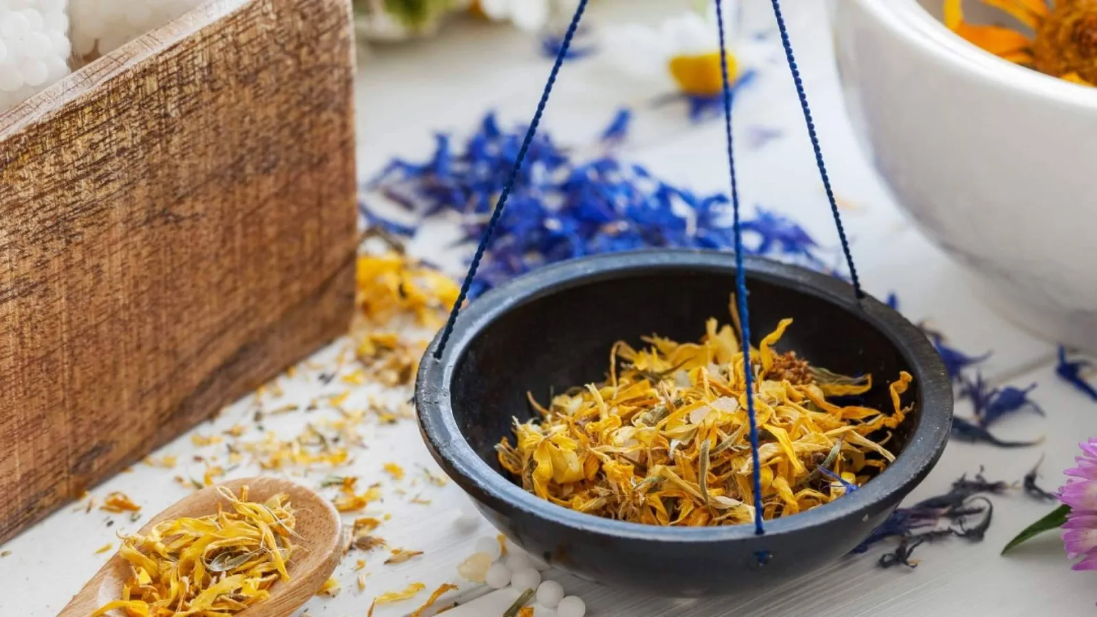El 'Máster Naturopatía' de ISED Expert llega en octubre para dar respuesta al auge de las terapias integrativas